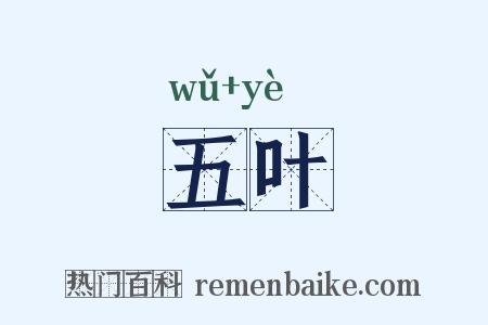 五叶是什么意思的图片
